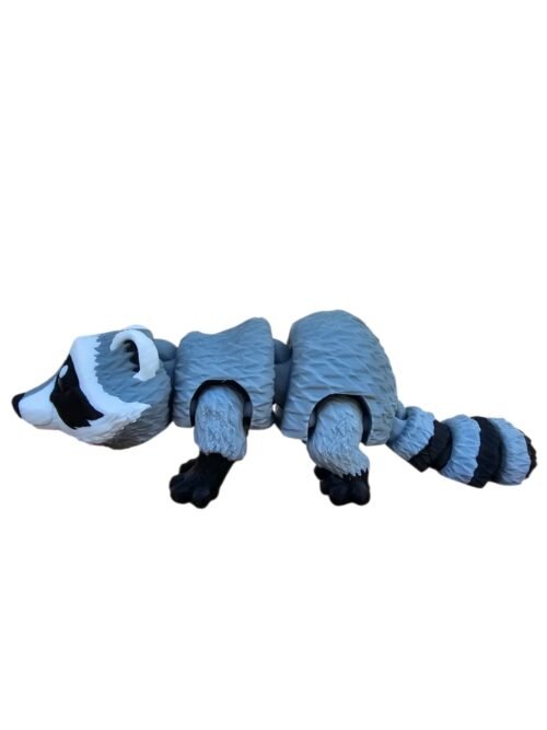 Mapache